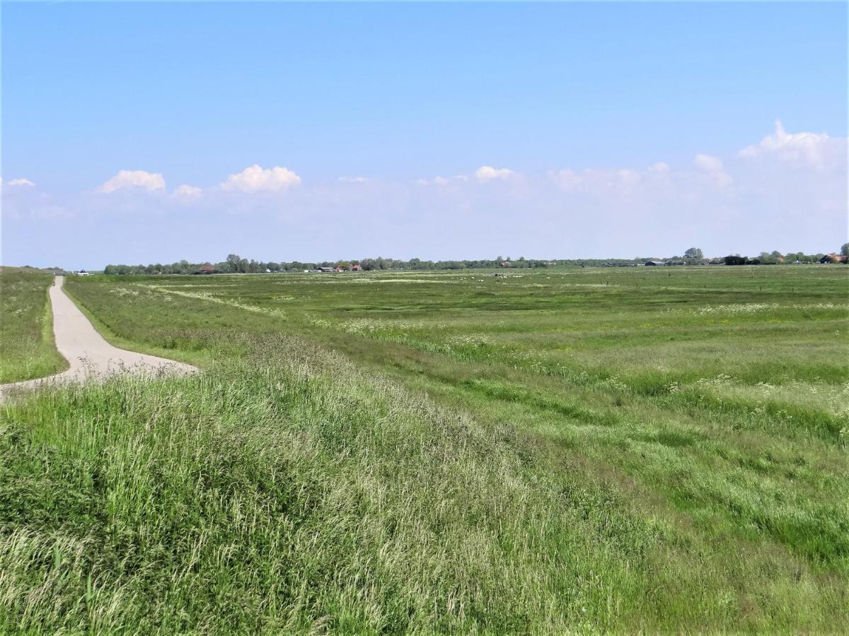 Vakantiewoning Grevelingen Villa Scharendijke Bagian luar foto